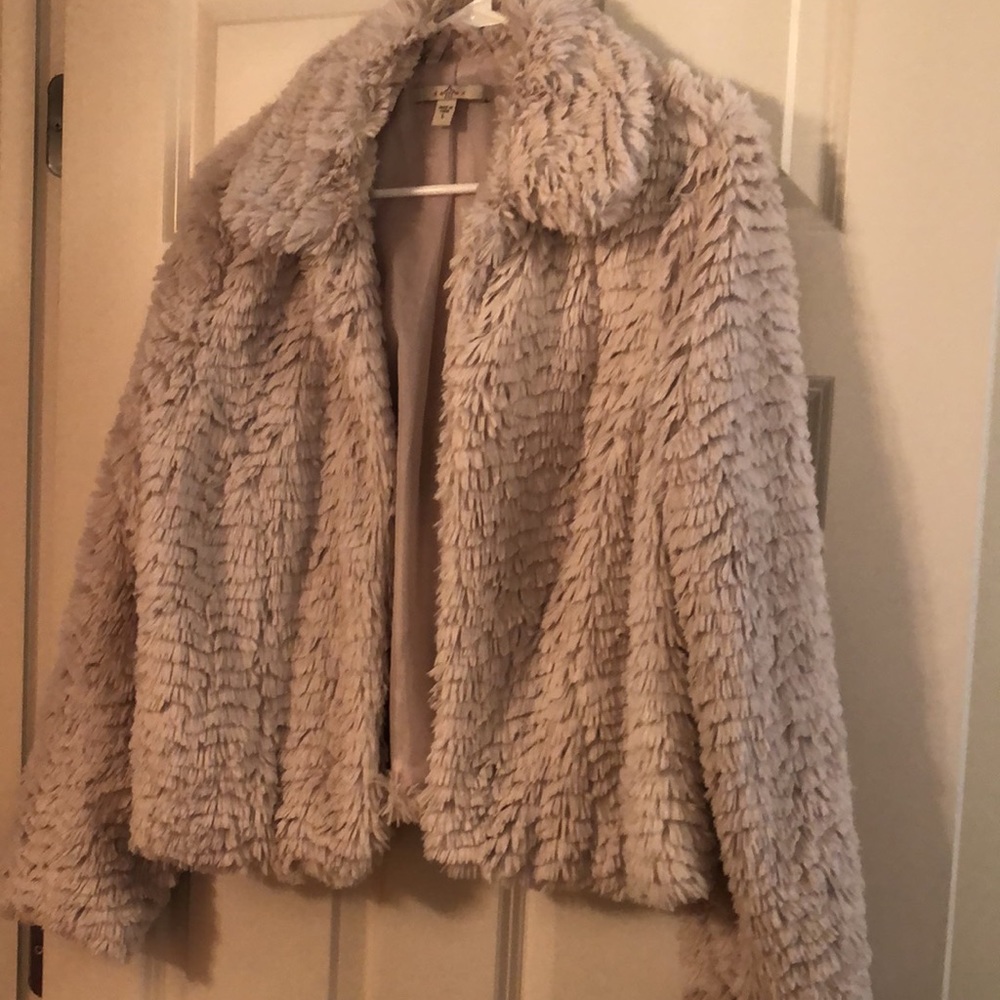 Jacket - Picture 2 of 4